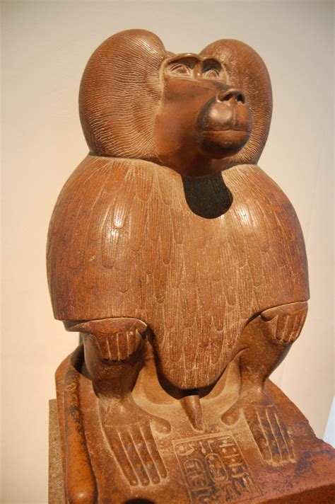 thoth as a baboon